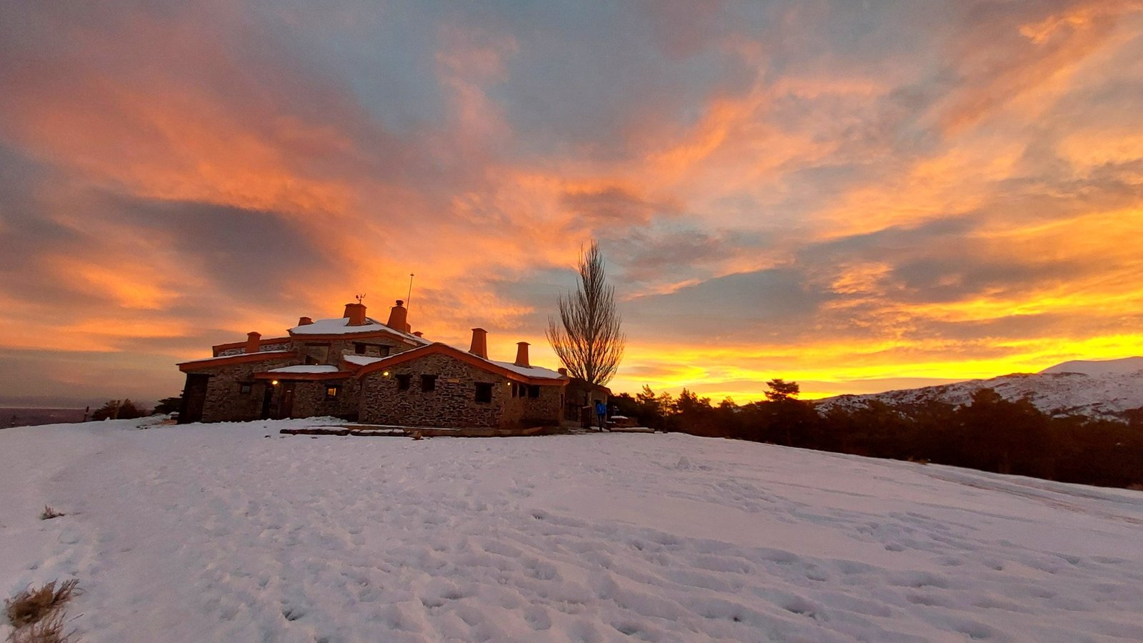 ed3d8a11-711f-4519-86fd-df4187e3a135